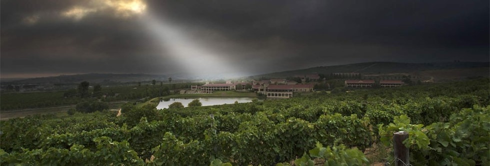 アサラ ザ・ホワイト・キャブ 2017年 アサラ・ワイン・エステート 750ml （南アフリカ 白ワイン）