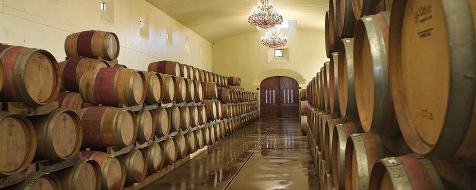 アサラ ザ・ホワイト・キャブ 2017年 アサラ・ワイン・エステート 750ml （南アフリカ 白ワイン）
