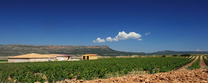 ラ・アタラヤ 2012年 ボデガス・アタラヤ 750ml （スペイン 赤ワイン）
