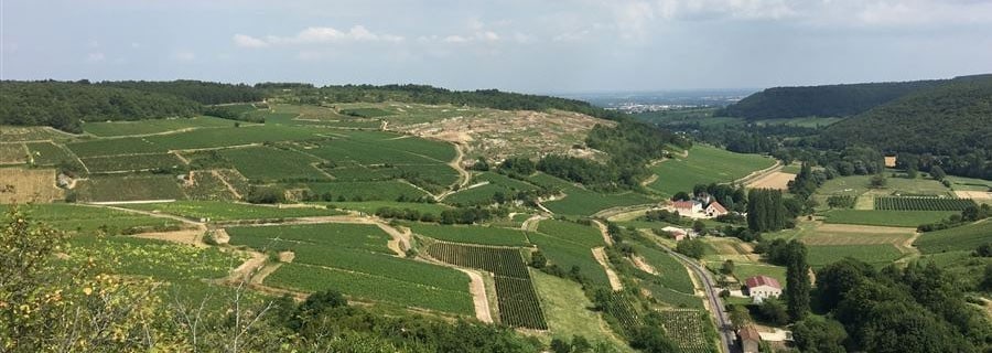 ピュリニー モンラッシェ ラ ブルランス 2018年 ドメーヌ バロレ ペルノ 750ml フランス 白ワイン