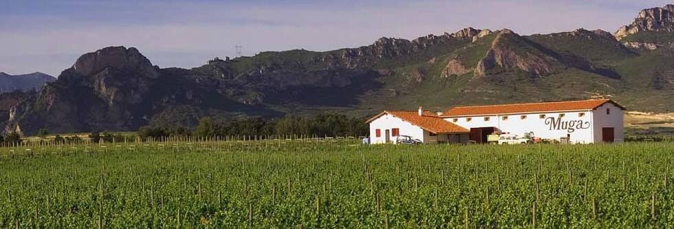 ムガ レゼルバ 2015年 ボデガス・ムガ 750ml （スペイン 赤ワイン）