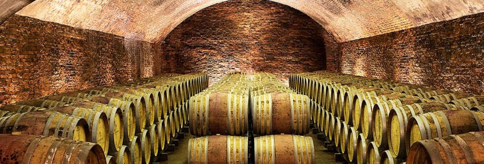 アルテレーゴ 2000年 コッポ社 750ml （イタリア 赤ワイン）