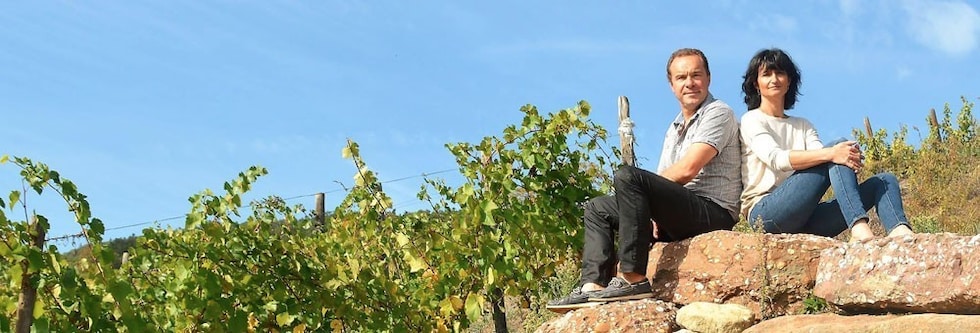 アルザス グラン クリュ 特級 ゲヴュルツトラミネール ゴールデルト 2018年 蔵出し限定品 ドメーヌ ウンブレヒト元詰 750ml フランス アルザス 白ワイン