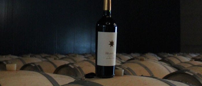 クロス・デ・ロス・シエテ 2013年 750ml 正規 （アルゼンチン 赤ワイン）