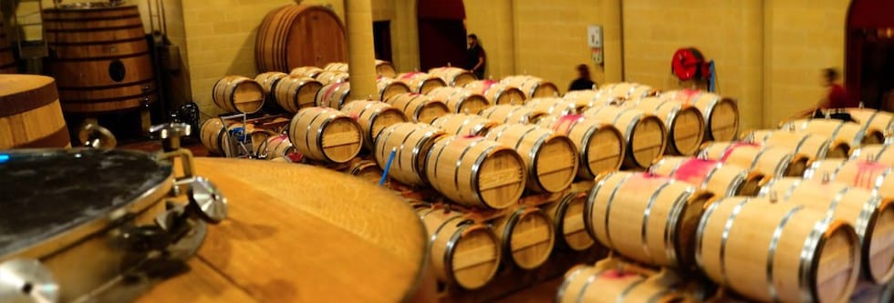 ドメーヌ・ド・シュヴァリエ ブラン 2014年 750ml グラーヴ格付 （フランス ボルドー ペサック・レオニャン 白ワイン）