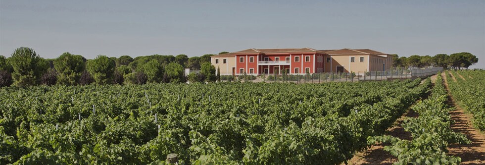 パブロ・クマロ カベルネ・ソーヴィニヨン グラシアーノ 2020年 ドミニオ・デ・プンクトゥン 750ml （スペイン 赤ワイン）