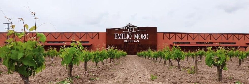 マレオロス・デ・ヴァルデラミロ 2011年 ボデガス・エミリオ・モロ 750ml （スペイン 赤ワイン）