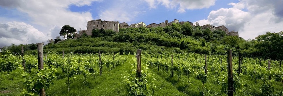 グレコ・ディ・トゥーフォ 2021年 フェウディ・ディ・サン・グレゴリオ 750ml 正規 （イタリア 白ワイン）