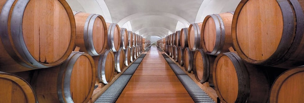 クティッツィ グレコ ディ トゥーフォ 2019年 フェウディ ディ サン グレゴリオ元詰 750ml イタリア 白ワイン
