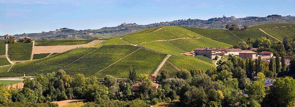 ロエロ アルネイス 2021 フォンタナフレッダ 正規 750ml イタリア 白ワイン