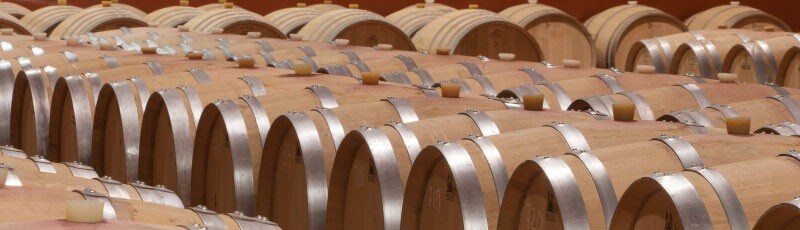 カタヴェント アルバリーニョ 2017年 フォーチュナワインズ 750ml （スペイン 白ワイン）