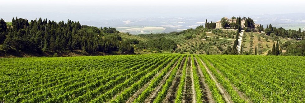 テヌータ フレスコバルディ ディ カスティリオーニ 2020年 フレスコバルディ 750ml イタリア 赤ワイン
