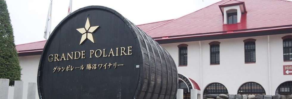 グランポレール 余市 ピノ・ノワール 2016年 750ml （日本 北海道 赤ワイン）