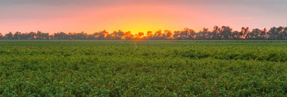 ハート＆ソイル スムース レッド ブレンド 2018年 750ml オーストラリア 赤ワイン