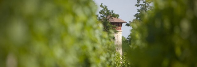 ヴォヤージュ・ド・ラネッサン 2011年 750ml （フランス ボルドー オー・メドック 赤ワイン）