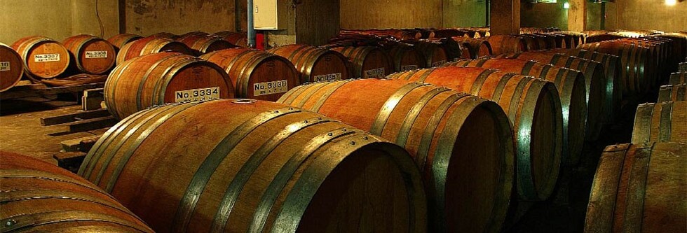 ソラリス 信州 千曲川 メルロー 2016年 マンズワイン 750ml （日本 赤ワイン）