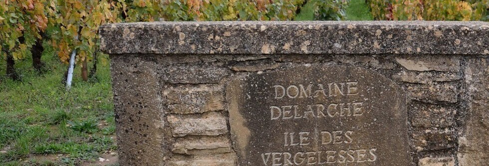 ペルナン ヴェルジュレス ブラン 2017年 ドメーヌ マリウス ドラルシュ元詰 750ml フランス 白ワイン