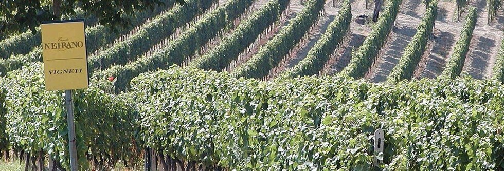 バローロ テルツェット 2014年 テヌテ・ネイラーノ 750ml （イタリア トスカーナ 赤ワイン）EPA発効記念