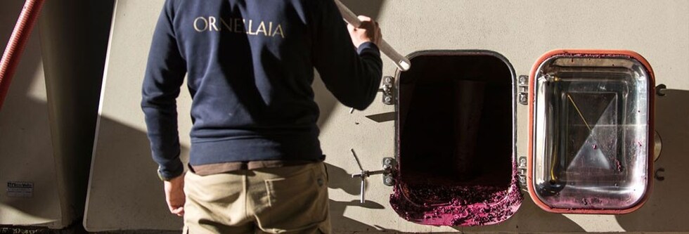 オルネッライア 2014年 テヌータ・デル・オルネッライア 750ml 箱入り 正規 （イタリア トスカーナ 赤ワイン）