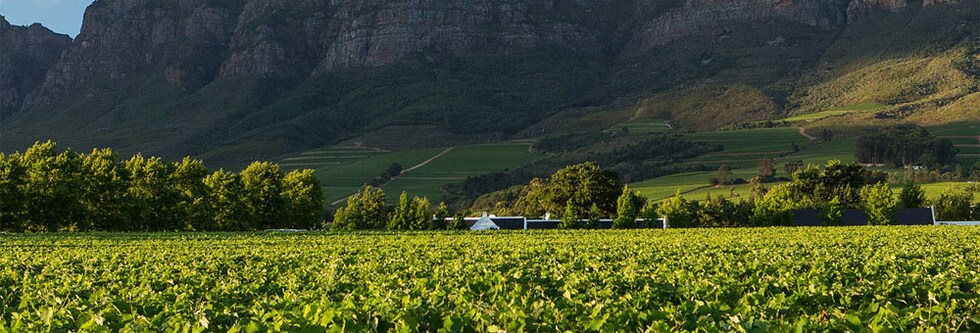ワイン 赤ワイン ルパート＆ロートシルト バロン・エドモン 2015年 750ml （南アフリカ ウエスタンケープ）