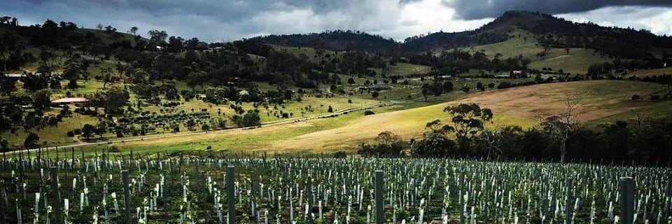 スターゲイザー タスマニア・シャルドネ 2018年 750ml （オーストラリア 白ワイン）
