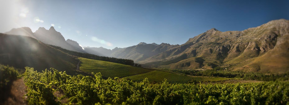 スタークコンデ ステレンボッシュ カベルネ ソーヴィニヨン 2019年 750ml　南アフリカ 赤ワイン