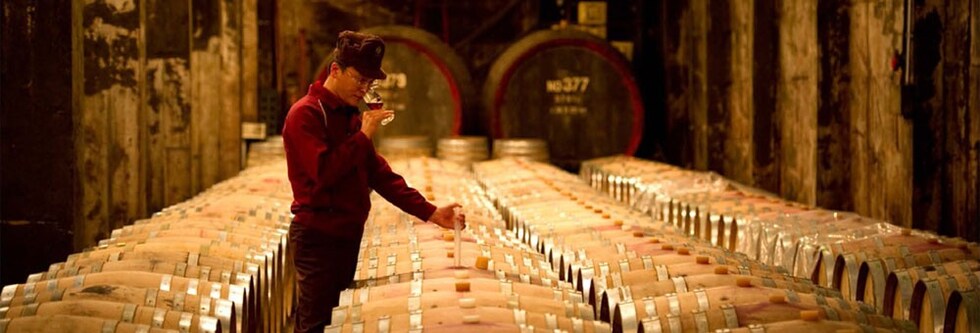 登美 赤 2015年 サントリー登美の丘ワイナリー 750ml （日本ワイン 山梨県 赤ワイン）
