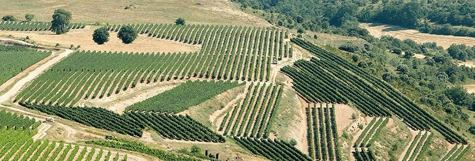 トーレス ヴィーニャ・エスメラルダ 2022年 750ml （スペイン 白ワイン）