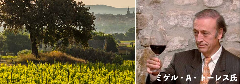 サン ヴァレンティン スペシャル エディション ホワイト 2021年 ミゲル トーレス ファミリー 750ml スペイン 白ワイン