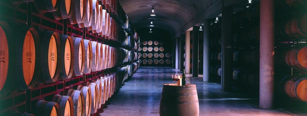 セニョリオ・デ・グァディアネハ グラン・レセルバ テンプラニーリョ 1999年 ヴィニコラ・デ・カスティーリャ 750ml （スペイン 赤ワイン）