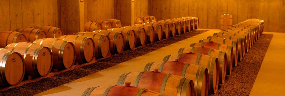 ビーニャ ファレルニア ヴィオニエ レセルバ 2021 750ml  チリ 白ワイン 