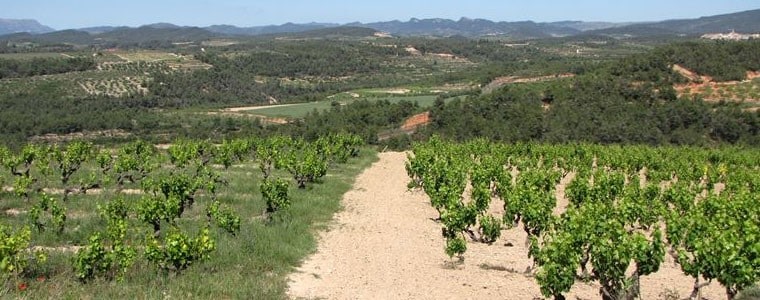 レラビ 2017年 ビニェス・デン・ガブリエル 750ml （スペイン 赤ワイン）