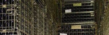 シャトー・クレマン・サン・ジャン 2015年 AOCメドック・クリュ・ブルジョワ （赤ワイン・フランス・ボルドー）