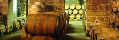 プティット シレーヌ ブラン 2021 メドック格付第三級シャトー AOCボルドー ブラン 辛口 白ワイン 750ml