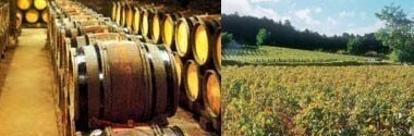 ジュヴレ シャンベルタン ヴィエイユ ヴィーニュ 2017 ドメーヌ トルトショ元詰 750ml フランス 750ml 赤ワイン