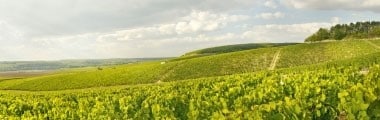 シャブリ プルミエ・クリュ モン・ド・ミリュー 2018年 ラ・シャブリジェンヌ （フランス ブルゴーニュ 白ワイン 1級）