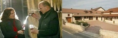 ヴォーヌ・ロマネ 2017年 ドメーヌ・ミシェル・ノエラ 750ml （フランス ブルゴーニュ 赤ワイン）