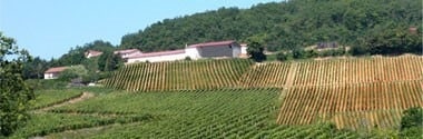 ブルゴーニュ・シャルドネ ヴィエイユ・ヴィーニュ クロ・サン・ジェルマイン 2021年 ドメーヌ・ロシュバン 750ml （ブルゴーニュ 白ワイン）