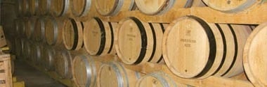 ブルゴーニュ・シャルドネ ヴィエイユ・ヴィーニュ クロ・サン・ジェルマイン 2021年 ドメーヌ・ロシュバン 750ml （ブルゴーニュ 白ワイン）