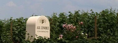 シャンパン A.R ルノーブル グラン・クリュ ブラン・ド・ブラン 750ml （フランス シャンパーニュ 白 箱なし）