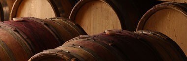 ジゴンダス オー・リューディー 2016年 ドメーヌ・サンタ・デュック 750ml （フランス ローヌ 赤ワイン）