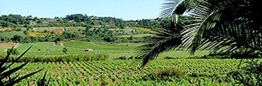 サン・シニアン キュヴェ・トラディション 2015年 ドメーヌ・ド・ガブラ 750ml （フランス 赤ワイン）