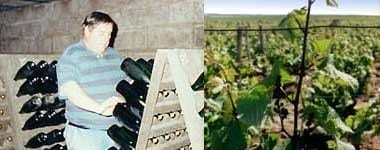 ヴーヴレ ドゥミ・セック 1990年 カーヴ・プサン 750ml （フランス ロワール 白ワイン）