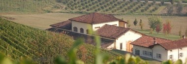 ラ スピネッタ カサノーヴァ ヴェルメンティーノ トスカーナ 2022年 750ml  イタリア トスカーナ 白ワイン