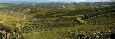 バルバレスコ 2019年 テッレ・ダ・ヴィーノ 750ml 正規 （イタリア 赤ワイン）