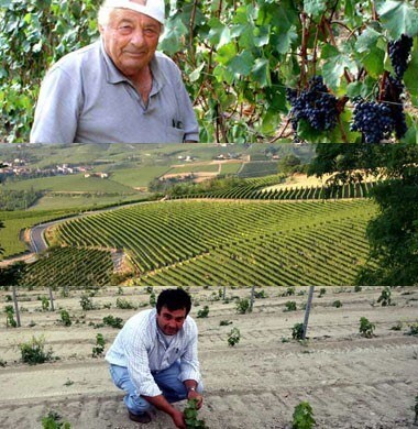 ロベルト・サロット ペツォーレ ヴィーノ・ロッソ 750ml （イタリア 赤ワイン）