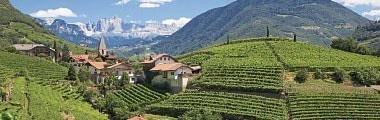 サンタ・マッダレーナ グリエス ピノ・ネロ 2021年 カンティーナ・ボルツァーノ 750ml （イタリア 赤ワイン）