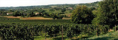 ベッレンダ キラリカ スプマンテ ブリュット （イタリア・スパークリングワイン）