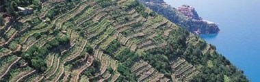 チンクエ・テッレ ビアンコ 2021年 チンクエ・テッレ農業協同組合 750ml （イタリア リグーリア 白ワイン）