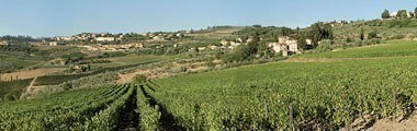 キアンティ・クラッシコ 2017年 フォントディ 750ml （イタリア 赤ワイン）